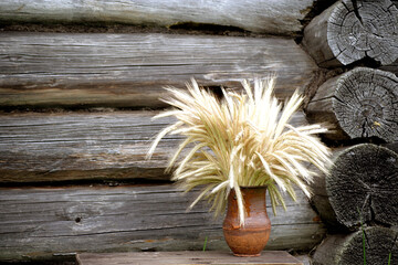 
ripe ears of wheat stand in a wedge vase against the background of an old log wall