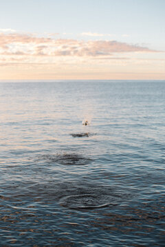 View of skipping stone on Lake Superior