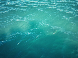 Naklejka premium Blue Green Water