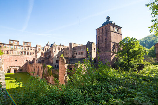 View of Heidelberg Palace