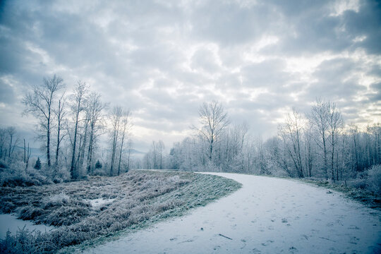 View of frosty morning at Jerry Sulina Park in Maple Ridge