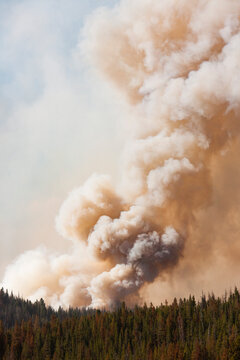 View of smoke rising from forest fire