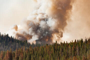 Smoke emitting from wildfire in Salmon River Mountains