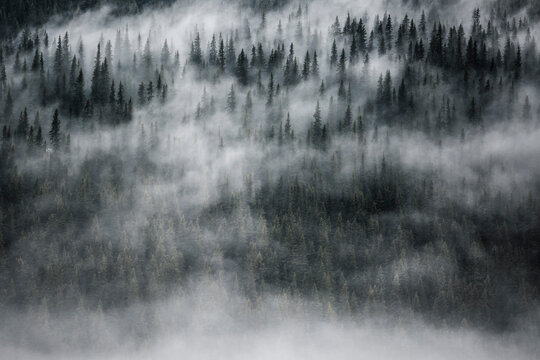 Fog 이미지 – 찾아보기 2,949,258 스톡 사진, 벡터 및 비디오 | Adobe Stock