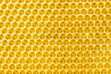 Close-up Background texture and drawing of a section of wax honeycomb from a beehive.