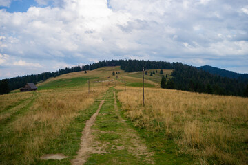 Naklejka premium Gorce, Hala długa pod Turbaczem