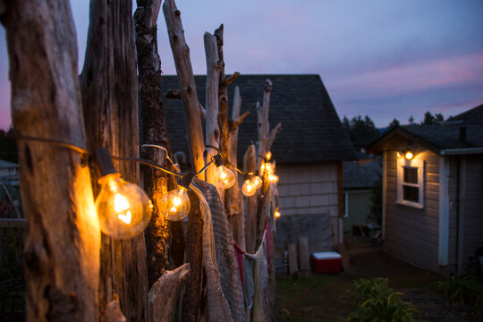 String lights on garden fence at dusk