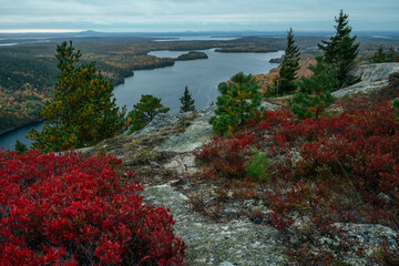 Scenic view Acadia National Park