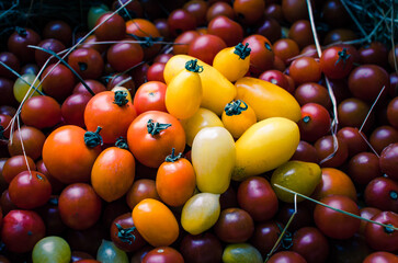 Fresh Tomatoes Market Display Background