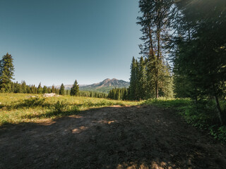 A meadow in the mountains outside of Crested Butte, Colorado