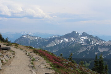 Panorama Point at Mount Rainier