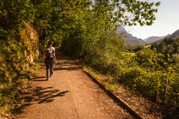 Obraz premium young woman hiking in mountain forest