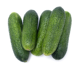 Group of five whole fresh pickling cucumber. Lot of whole fresh pickling cucumber isolated on white background. Group of five bumpy fresh pickling cucumber.