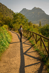 young woman hiking in mountain forest