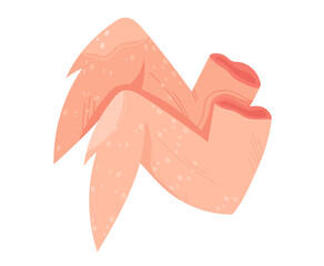 Meat red steak, beef fillet, barbecue chop, raw bossy slice, cut pork, isolated on white, design, flat style vector illustration. Fresh ingredient, pork menu, portion roast, close-up background.