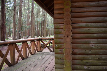 ログハウス 森林内