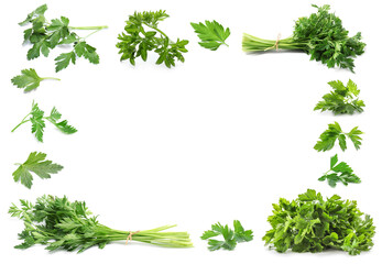 Frame of green parsley on white background