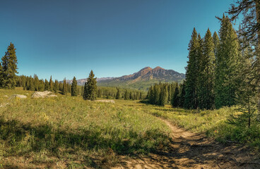 A meadow in the mountains outside of Crested Butte, Colorado