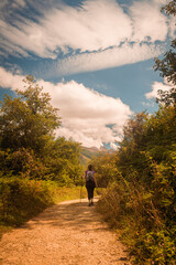 young woman hiking in mountain forest