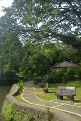 Ninoy Aquino parks and wildlife pathway in Quezon City, Philippines