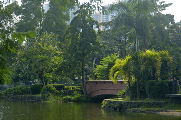 Ninoy Aquino parks and wildlife water lagoon plus bridge in Quezon City, Philippines