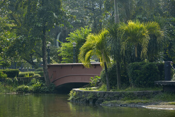 Ninoy Aquino parks and wildlife water lagoon plus bridge in Quezon City, Philippines