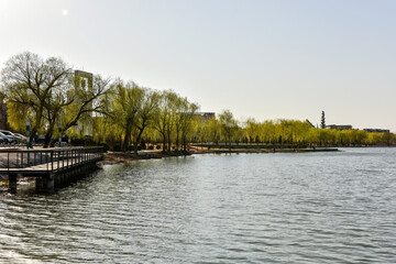 Natural scenery in city parks