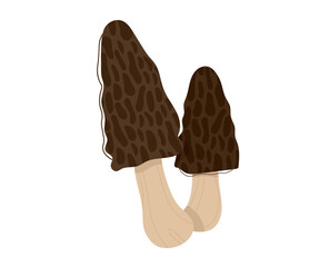 Edible nature mushroom, forest background, autumn boletus set, isolated on white, design, flat style vector illustration. Vegetable autumn season, organic plant, fresh ingredient, colorful fungus.