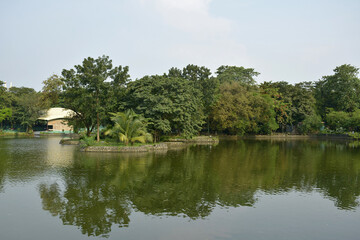 Ninoy Aquino parks and wildlife water lagoon in Quezon City, Philippines