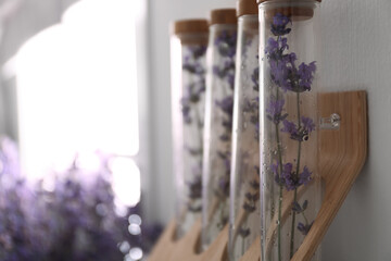 Beautiful lavender flowers on wooden shelf indoors, closeup. Space for text