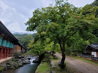 Obraz premium traditional korean temple