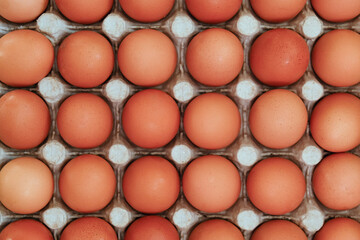 Raw brown chicken eggs in egg cardboard box. Top view.