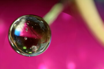 moments that inspire you with color and life, shade and inanimate things