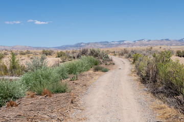 High desert dirt path through sage and rabbit brush heads toward distant purple mountain range.