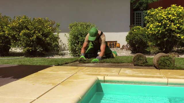 Caucasian Male Landscape Gardener Laying Turf For New Lawn In Private Residential Yard With Outdoor Swimming Pool. 