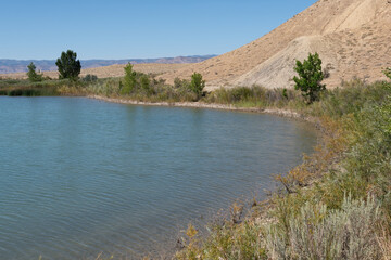 Lakeshore with trees and native plants with an arid hill and distant mountains