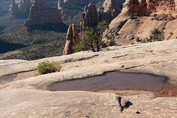 Temporary pool in rocks on the rim of the Colorado National Monument