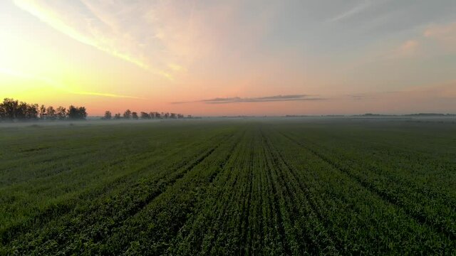 Agriculture Farm Land Countryside at Sunset - Epic Aerial Drone View