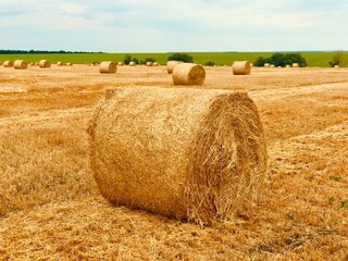 Rural landscapes of Ukraine, Europe. Rolls of twisted haystacks on the harvested wheat field.