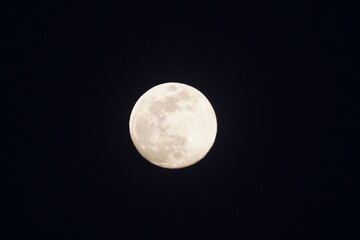 Fototapeta premium 満月