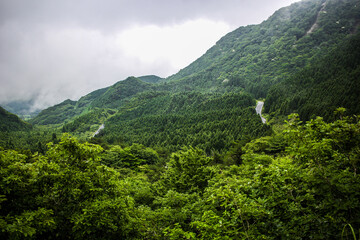 Black tarry roads cutting through green, mountain country