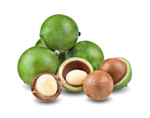 macadamia nuts isolated on white background.