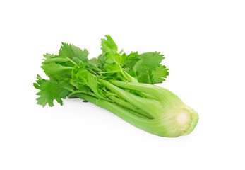 Celery on white background