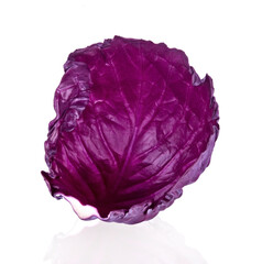 Fototapeta premium Purple cabbage isolated on white background