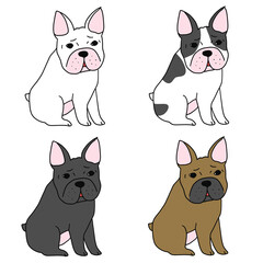 フレンチブルドッグ
