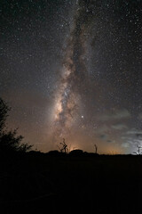 Milky Way observed from Las Coloradas, Mexico