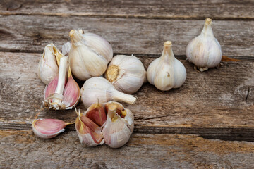 Fresh garlic on a rustic wooden table
