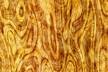 wave burl wood texture design