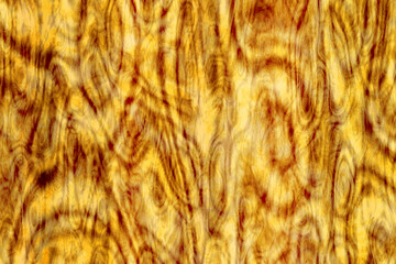wave burl wood texture design