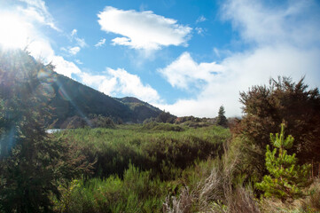 ニュージーランド、南島、ゴーワンブリッジのブラーリバーの風景
